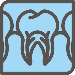 WholeDent.com
