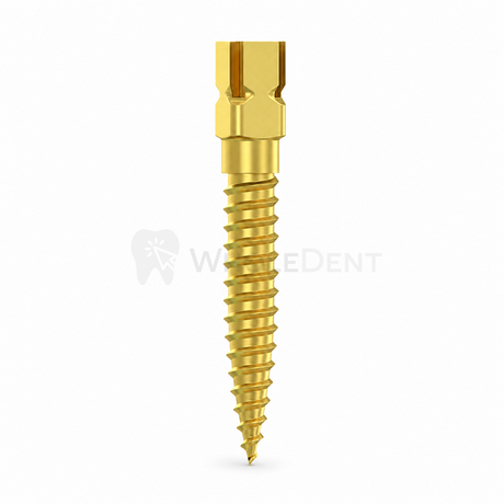  Dentatus Gold Plated Screw Posts - Screw Posts 