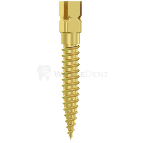  Dentatus Gold Plated Screw Posts 