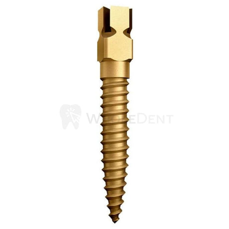 Dentatus Gold Plated Screw Posts 