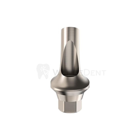 GDT Anatomic Angulated Abutment 25° Conical Connection RP-Angulated Abutments-WholeDent.com