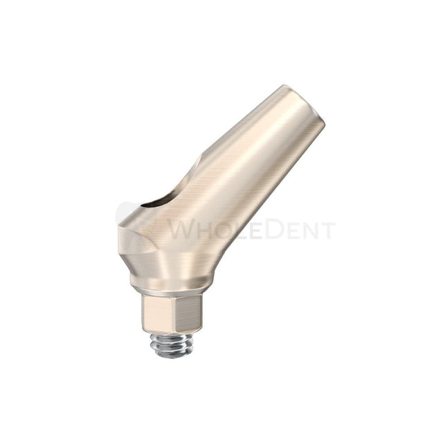 GDT Angulated Abutment 45°-Angulated Abutments-WholeDent.com