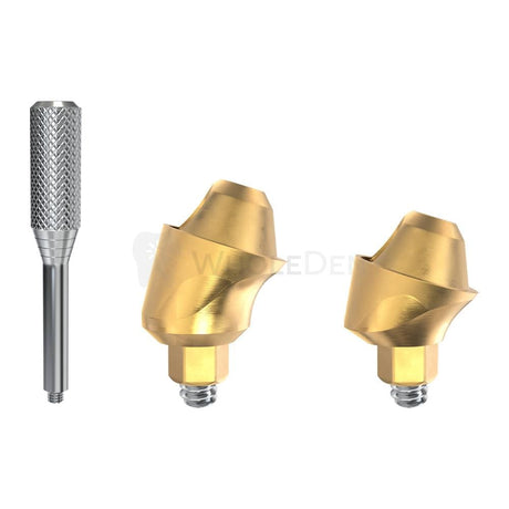  GDT Angulated Titanium Multi Unit 17° Slim Platform-Angulated Multi Unit-WholeDent.com 