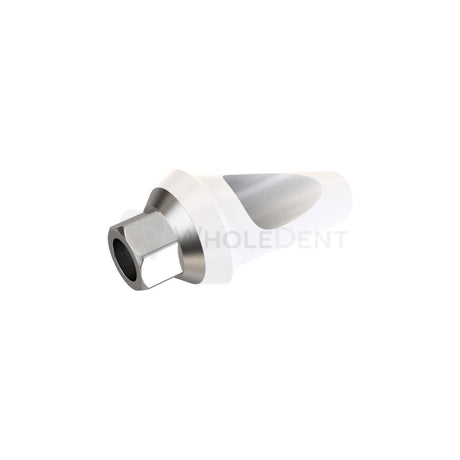  GDT Angulated Zirconia Abutment 25° With Titanium Base-Zirconia Abutments-WholeDent.com 