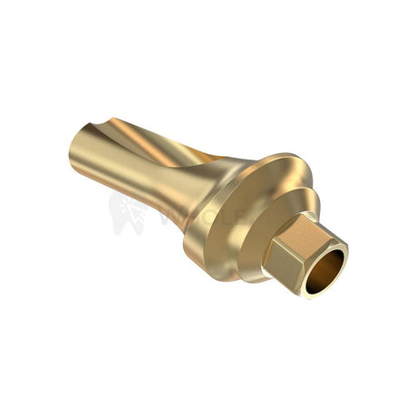  GDT Concave Anatomic Angulated Abutment 15°-Concave Abutments-WholeDent.com 