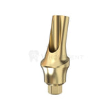 GDT Concave Anatomic Angulated Abutment 15°-Concave Abutments-WholeDent.com