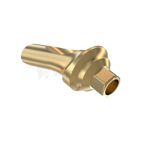  GDT Concave Anatomic Angulated Abutment 25°-Concave Abutments-WholeDent.com 