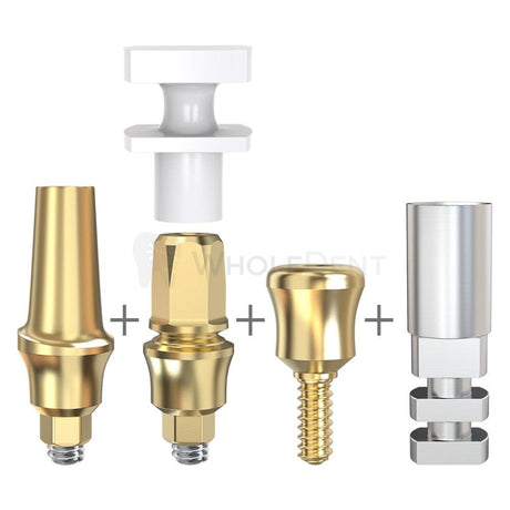 GDT Concave Anatomic Prosthetics Kit-Concave Abutments-WholeDent.com