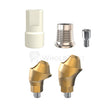  Gdt Conical Connection Multi Unit Cad/cam Set 17° Np Angulated 