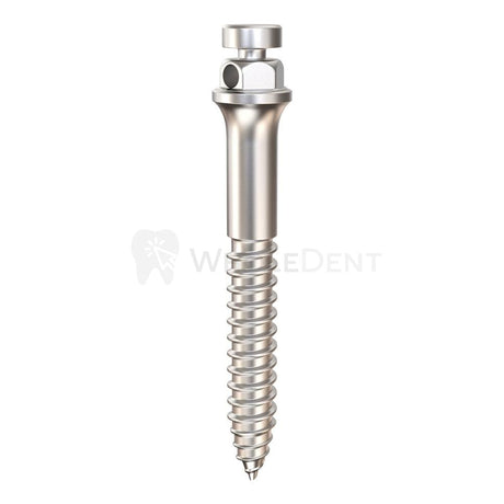 Gdt Orthodontic Buccal Self Micro-Implant (Tads) Tads