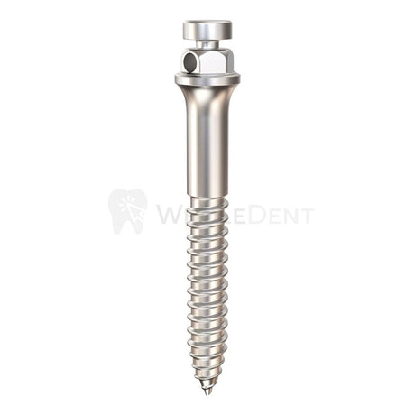  Gdt Orthodontic Buccal Self Micro-Implant (Tads) Tads 