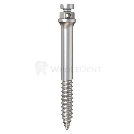  Gdt Orthodontic Zygomatic Micro-Implant (Tads) Tads 