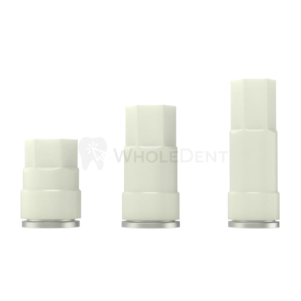 Dental Internal Hex CAD/CAM Abutments for Implantology