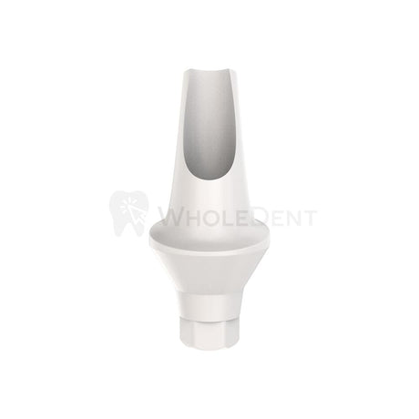 GDT Peek Temporary Anatomic Angled Abutment 15° (NP)-Temporary Abutments-WholeDent.com