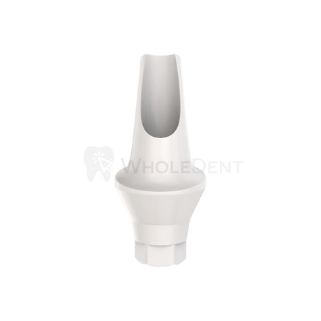 GDT Peek Temporary Anatomic Angled Abutment 15° (RP)-Temporary Abutments-WholeDent.com