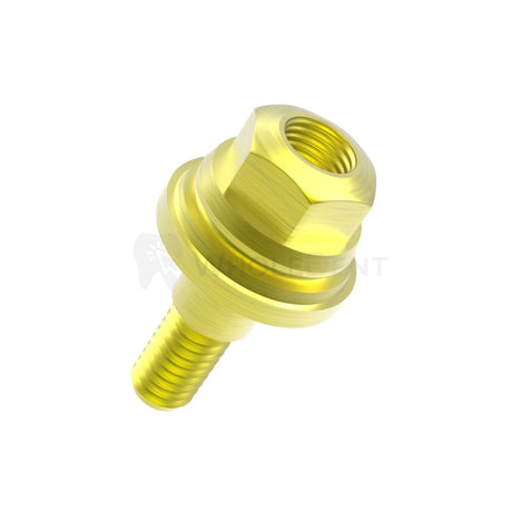  Gdt Straight Multi Click Abutment + Plastic Sleeve Set Click 