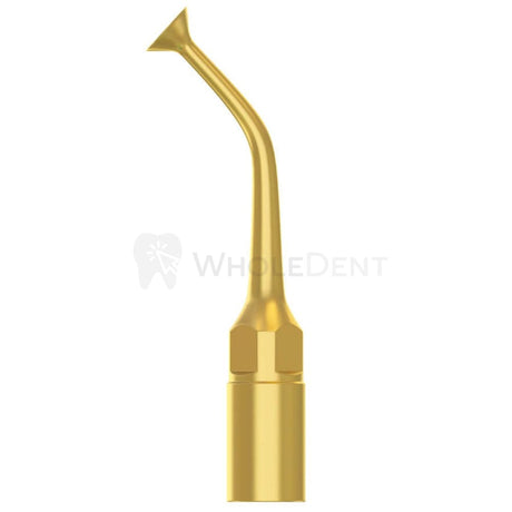  Mariotti Piezoelectric Surgery Tip Ul2 