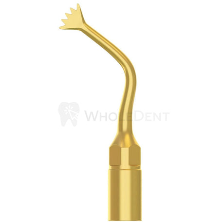 Mariotti Piezoelectric Surgery Tip Us1 