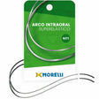  Morelli Reverse Spee Niti Rectangular Archwire Archwires 