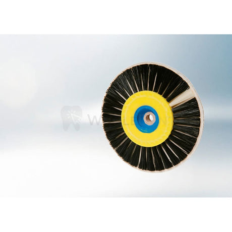  Renfert Chungking Polishing Brushes Disc 