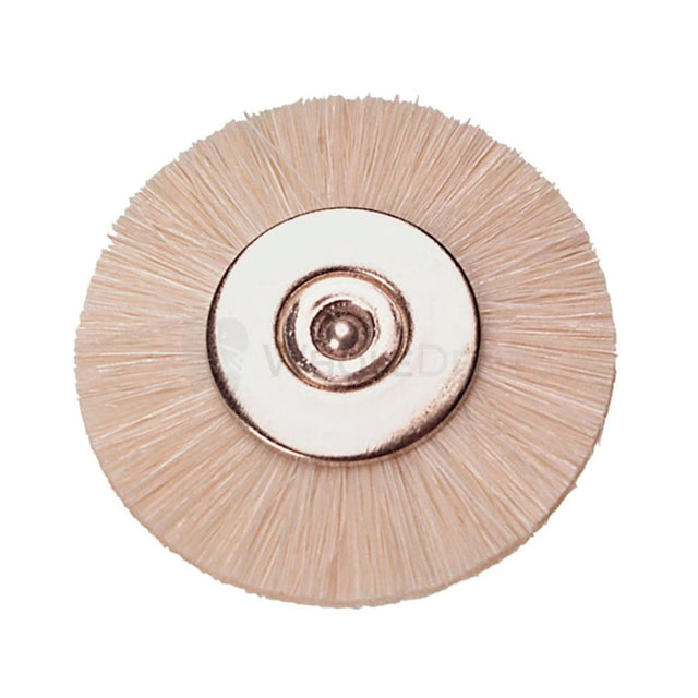 Renfert Goat Hair Polishing Brush Ø19Mm Disc