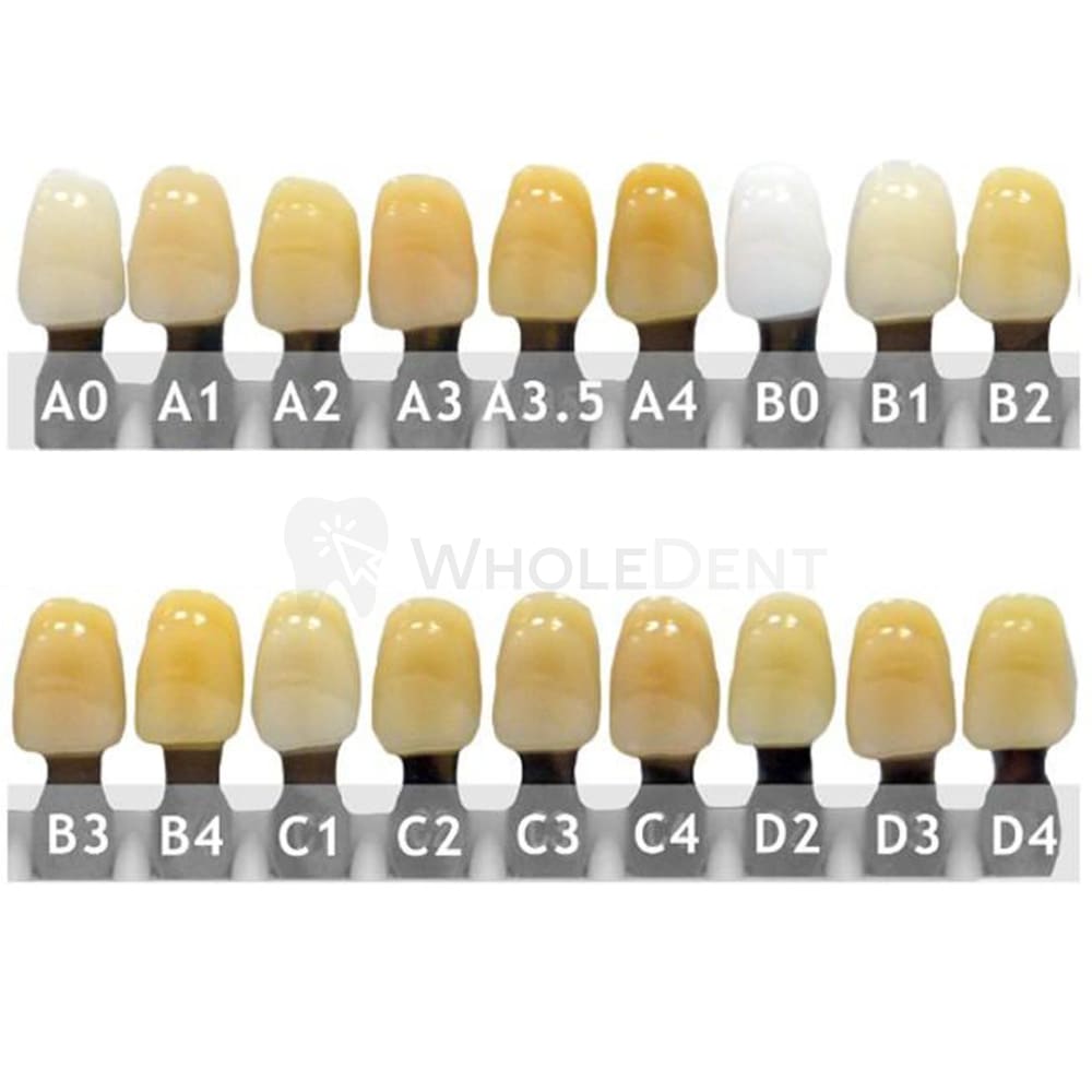 Ruthinium Artificial Acrylic Teeth Shade D2-Artificial Acrylic Teeth-WholeDent.com