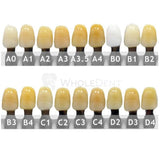 Ruthinium Artificial Acrylic Teeth Shade D2-Artificial Acrylic Teeth-WholeDent.com